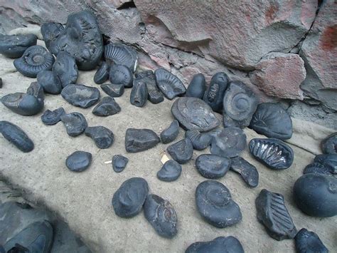 Il Ponte di Shili: Un antico gioiello di pietra che sfida il tempo!