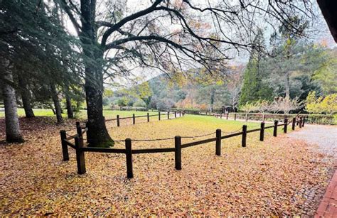 Il Giardino Botanico de Xavantari: Un'Oasi di Pace e Flora Esotica!