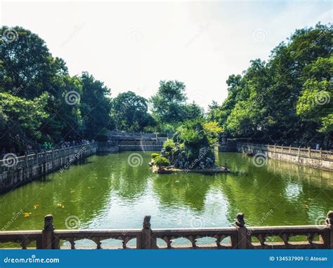  Il Giardino Botanico di Hangzhou: Un Paradiso di Pace e Profumi Incantevoli!