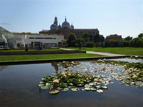  Il Giardino Botanico di Padua: Un'oasi verde per il viaggiatore curioso!