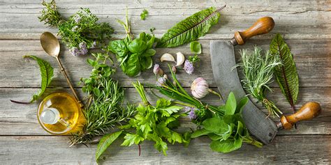 Il Giardino delle Erbe Aromatiche di Jieyang: Un'Oasi Profumata per l'Anima!