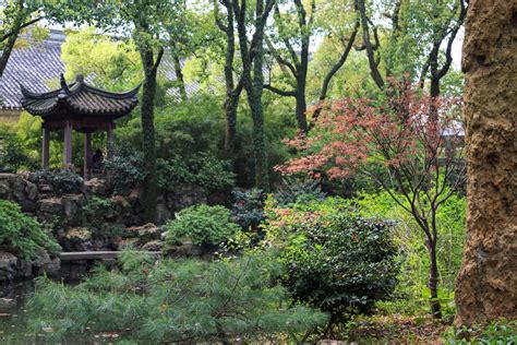 Il Tempio di Tianyi: Un gioiello architettonico immerso nella storia!