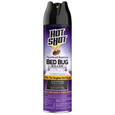 What spray kills bed bugs and why do they always seem to outsmart us?